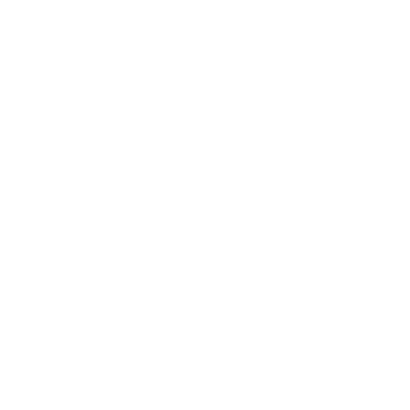 LOGO Bruzz white